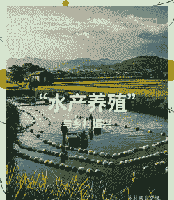 水产养殖板块怎么啦