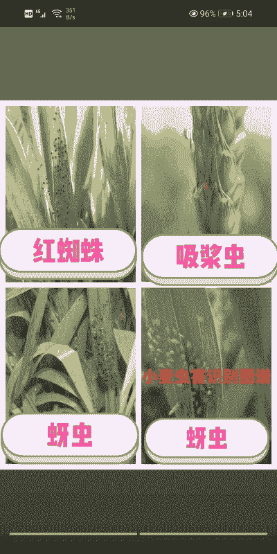 大麦虫养殖怎么防病害