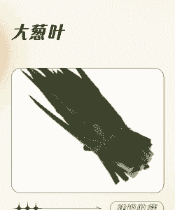 东北大葱叶子怎么养殖