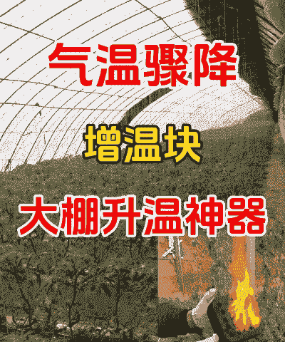 养殖大棚冬季怎么加温度
