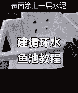 循环水养殖鱼塘怎么建