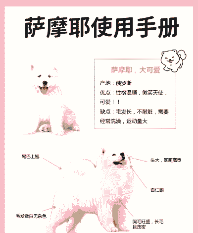 60斤的狗怎么养殖