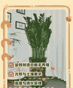 金钱树怎么养殖比较绿色