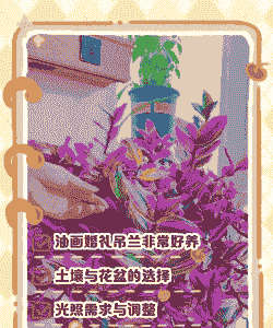 宴席上的鲜花怎么养殖
