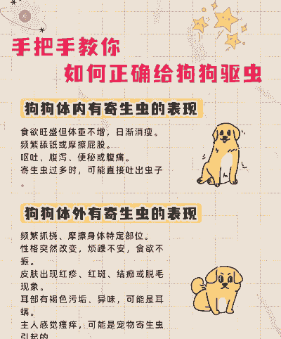 养殖小狗驱虫怎么驱的