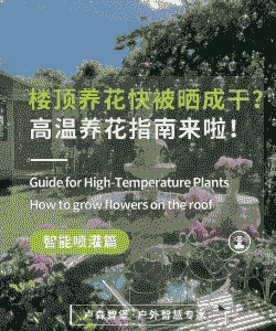 高温过后的花卉怎么养殖