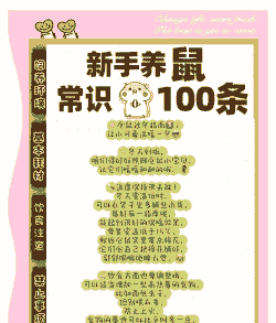 仓鼠冬天在屋里怎么养殖