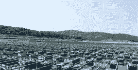 网箱养殖波纹虾怎么养