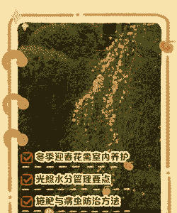 迎春花冬天怎么养殖