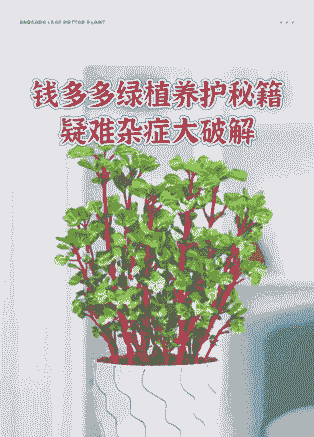 钱多多绿植怎么养殖