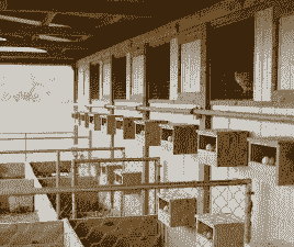 北方怎么建养殖场