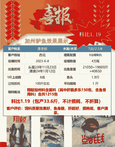 加州鲈鱼饲料怎么养殖