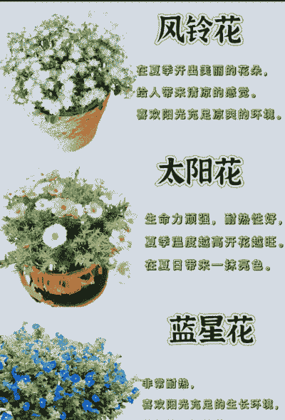 夏季适合栽什么花草