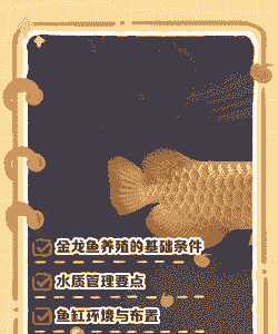 金龙鱼怎么养殖方法