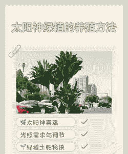 太阳神怎么养殖方法