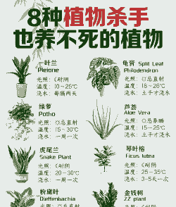 常见的室内花卉如何培养