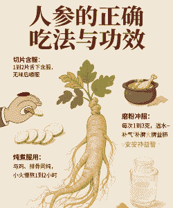 人工养殖的人参怎么吃