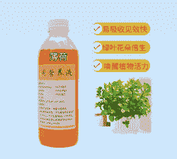 薄荷加什么肥料最好
