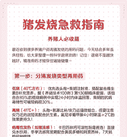 小猪发烧了怎么治疗