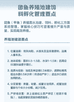 团鱼怎么养殖