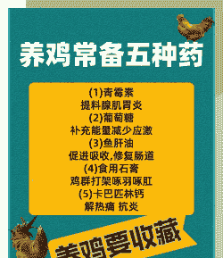 鸡用什么药预防