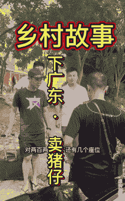 卖猪仔是什么意思