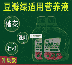 豆瓣绿可用什么肥料