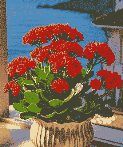 盆栽都有有什么花 盆栽都有有什么花