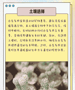 白鸟怎么养殖