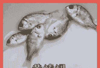 黄鲷鱼怎么养殖