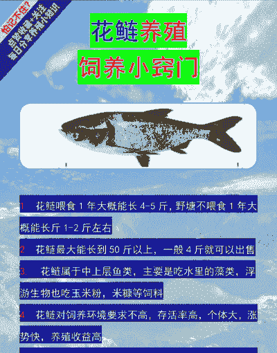 花鲢怎么养殖