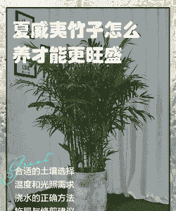 夏威夷怎么养殖方法