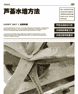 芦荟在水里怎么养殖