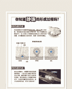 养殖珍珠怎么形成的