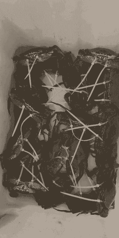 三门青蟹怎么养殖