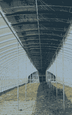 养殖大棚要怎么样设计