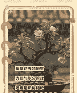 莫愁湖海棠花怎么养殖
