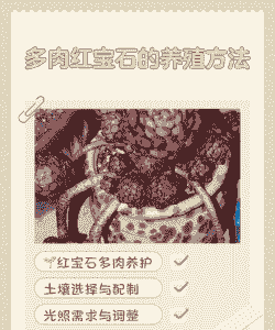 红宝石怎么养殖方法