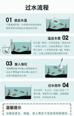 养殖鱼怎么防止雨水进缸