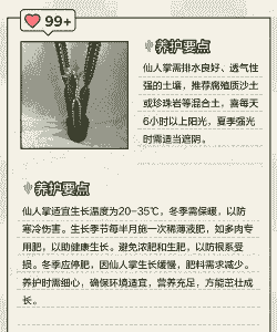 仙人掌北方怎么养殖的