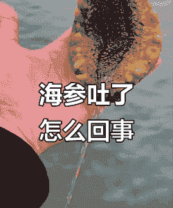 养殖海参捞苗怎么吐肠子