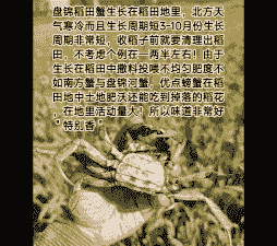 稻蟹养殖好怎么说