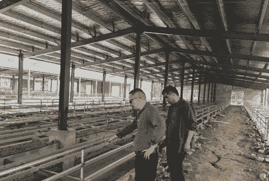 怎么加入大型养殖场工作