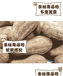 金丝南瓜养殖前景怎么样