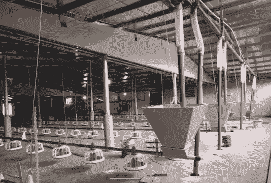 怎么修自动养殖场设备