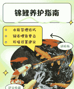 夏天大棚养殖鲤鱼怎么养