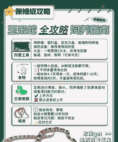 养殖毒蛇基地怎么弄的