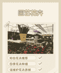 怎么办理花卉养殖场