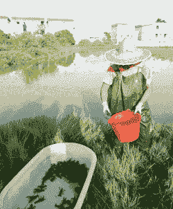 小龙虾养殖土地怎么租