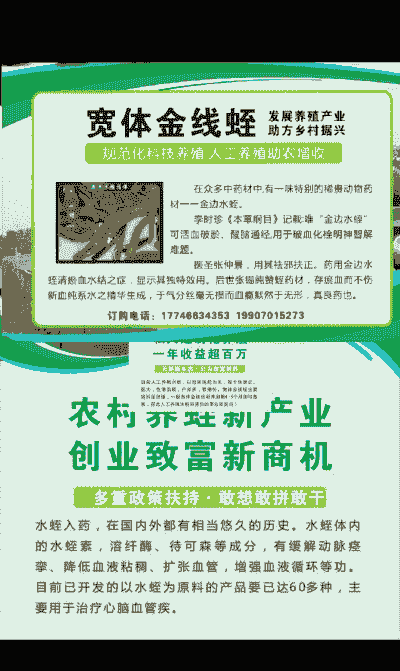 蚂蚱养殖基地怎么取名字